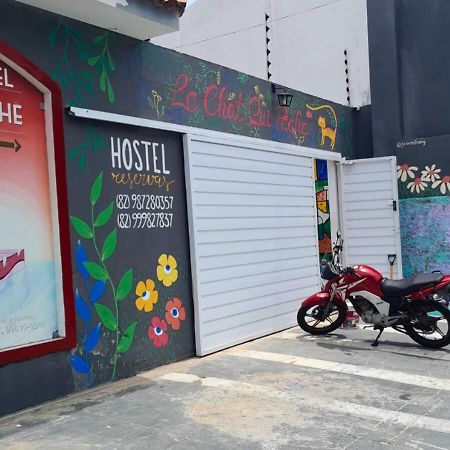 "LE CHAT QUI PECHE" Hostel a 150 metros PRAIA PAJUCARA SAUNA & PISCINA Maceió Exterior foto